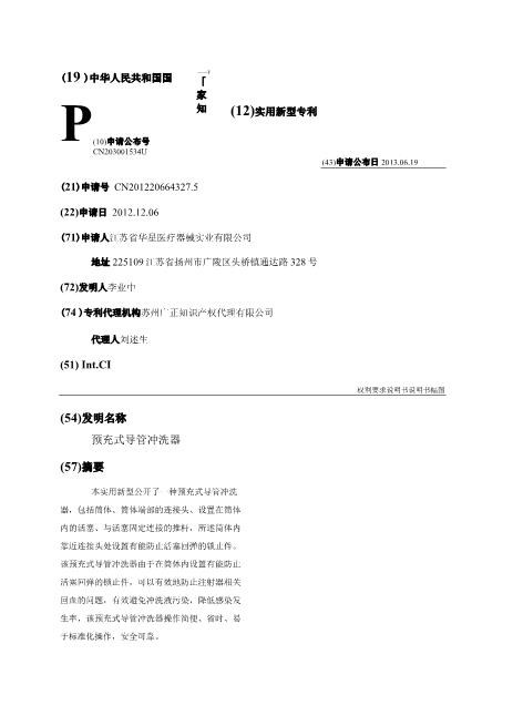 预充式导管冲洗器